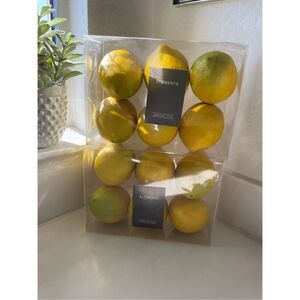 Z Gallery elements faux lemon for decorative use ￼